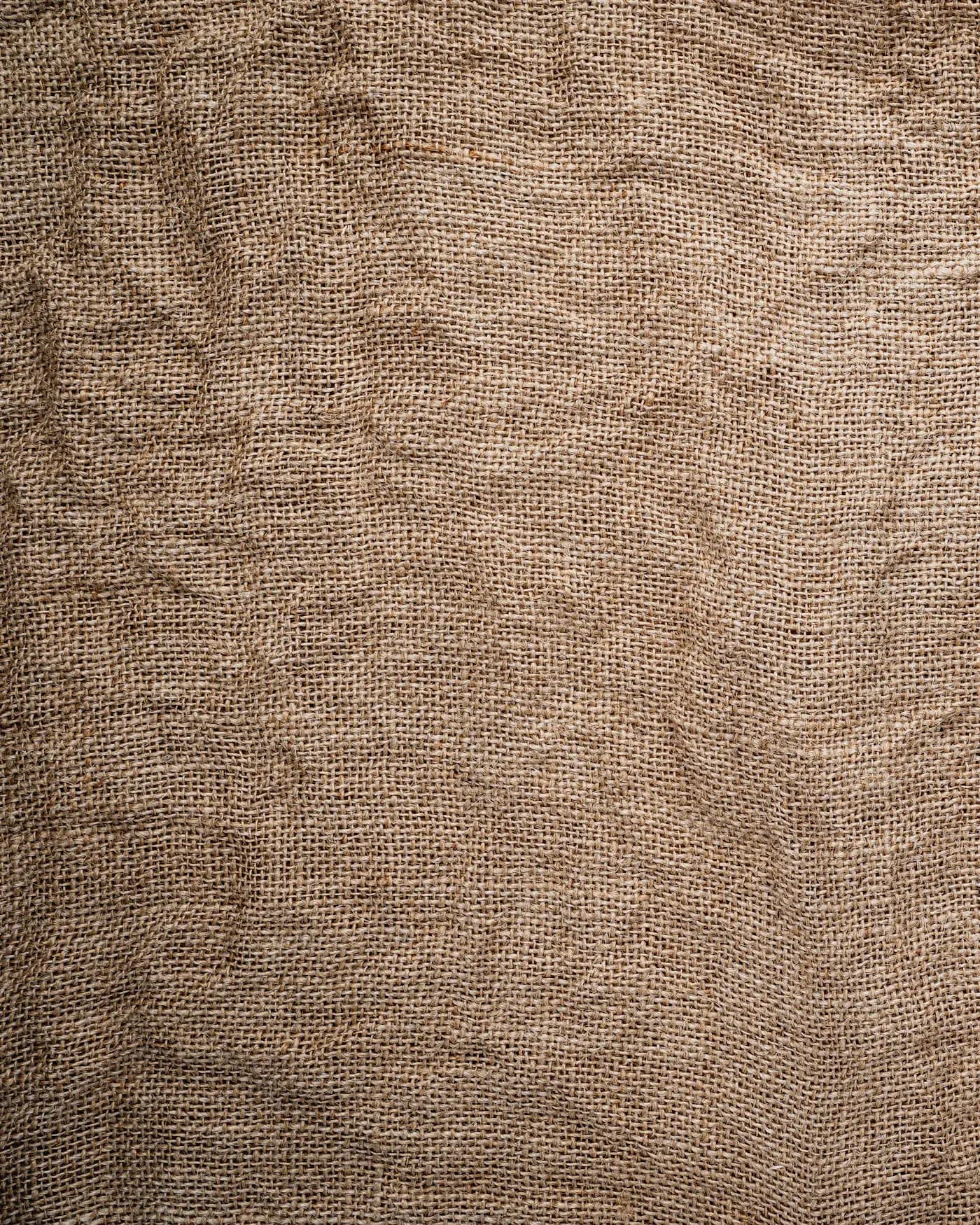 Meridian Overcoat, view 3